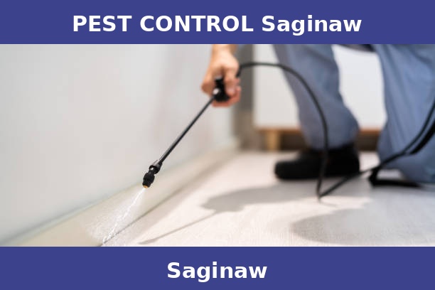 PEST CONTROL Saginaw